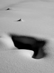 neve - 2005