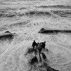 temerari oppure..... temerari oppure.....