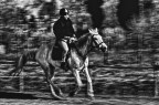 Cavalcando...