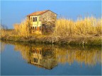 nelle Valli venete