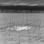 pianura padana