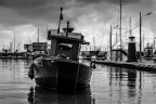Barca da pesca porto della Spezia