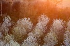 13-04-2013__01P7465