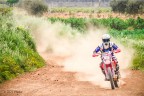 un crop di un'immagine pi grande, si accettano critiche e commenti costruttivi: vorrei migliorare molto!!