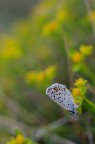 Macro con tubi di prolunga