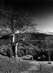 Lago Calamone