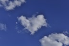 f/10
1/1000sec.
ISO-200
Esposizione -5
42mm