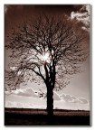 controluce