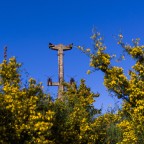 Totem