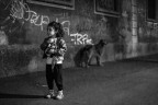 The dog