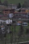 nikon D90
1/400sec.
ISO-800
Esposizione -1.3