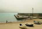 Cefal