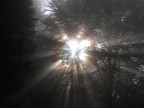Contro luce