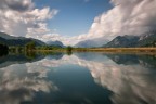 effettuato lungo il fiume Adda,poco sopra a Brivio....spero vi piaccia....un saluto,Andrea!