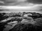 Salve a tutti,
vorrei condividere con voi i miei primi tentativi di B&W. La foto l'ho scatta in Irlanda 2 anni fa.
Naturalmente tutti i consigli e critiche utile alla mia crescita sono ben accetti!
Grazie a tutti.
Tender Prey