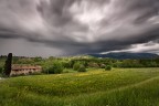 l'ho rincorso per tre paesi prima di riuscirlo a fotografare finche alla fine ho preso una lavata allucinante.....classico!
spero vi piaccia....un saluto,Andrea!