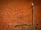 Suggerimenti e critiche ben accetti.
Dati exif in allegato.
Scatto eseguito presso una cava di bauxite in disuso.