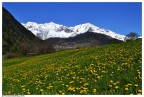 GIALLO E NEVE