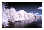 Bianco in campo blu