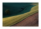 .....linee di libero pensiero.....