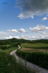 La strada