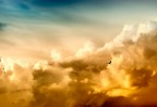 volare dentro lo spettacolo !