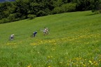 Anche questo  Giro d'Italia!!!