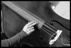 Musica nel cuore