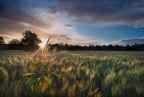 Delle volte anche se il paesaggio non  dei mgliori c' sempre "lui"che ci pensa, e riesce a creare immagini che nessuno avrebbe mai immaginato
