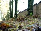 Autunno