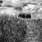 IMG_2715