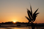 canon 50D, canon 70-200 f4, iso 100 f 100 1/125....