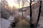 Feltre