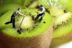 Siamo alla frutta