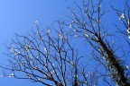Inverno