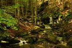 Canon eos 5d MkII
48 f/13
1/20 sec
iso 640