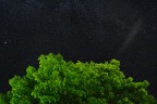PIOGGIA DI STELLE