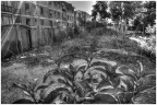 [Foto] Case popolari