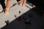 luce e ombra ...cortile interno del vecchio Comune di Bologna