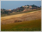Colline pisane