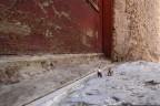Buon vicinato