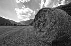 IN CAMPAGNA