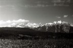 SudTirol in bianco e nero