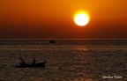 pesca...