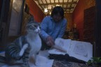 il gatto e il libro