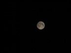 foto molto semplice, volevo solo provare a fotografare la luna.

Scattata con una epl-1, con una ottica manuale TOKINA SD 70/210

F/4, ISO 100, 1/640