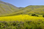 giallo a Castelluccio