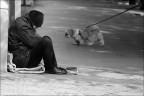Solo...pi di un cane