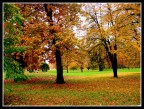 parco di ascona
