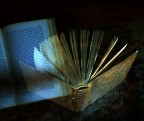 Foto] Un Alito di cultura!